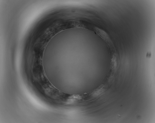 X0000112030765200908031436