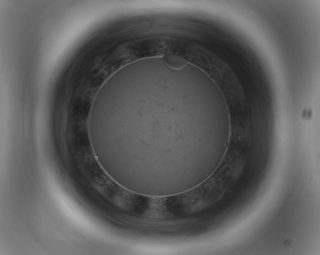 X0000112030766200908031436