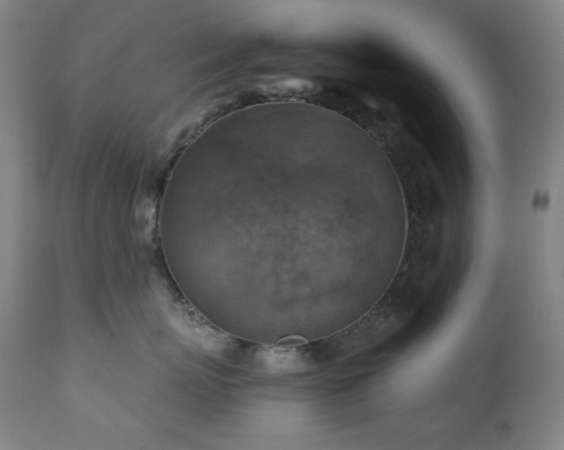 X0000112030767200908031436