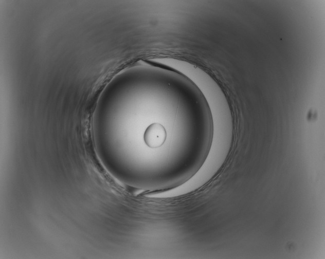 X0000112030768200908031436