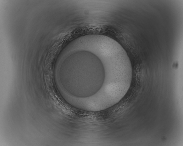 X0000112030769200908031435