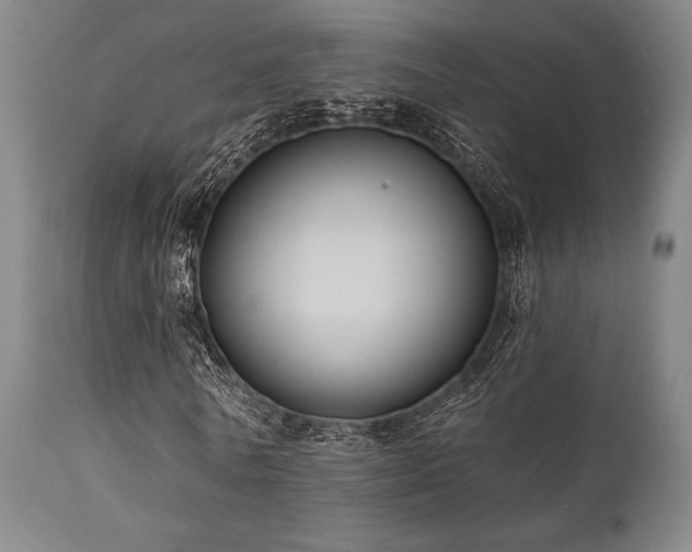 X0000112030770200908031435