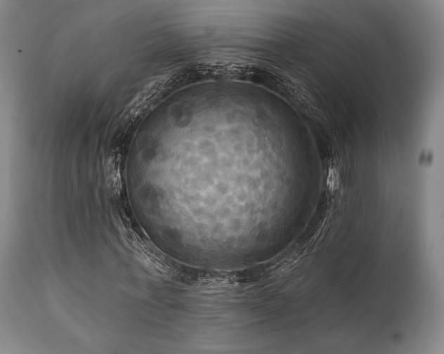 X0000112030771200908031435