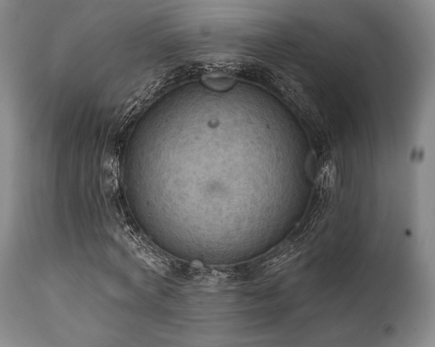 X0000112030772200908031435