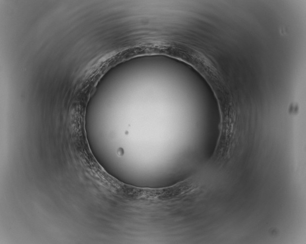 X0000112030773200908031435