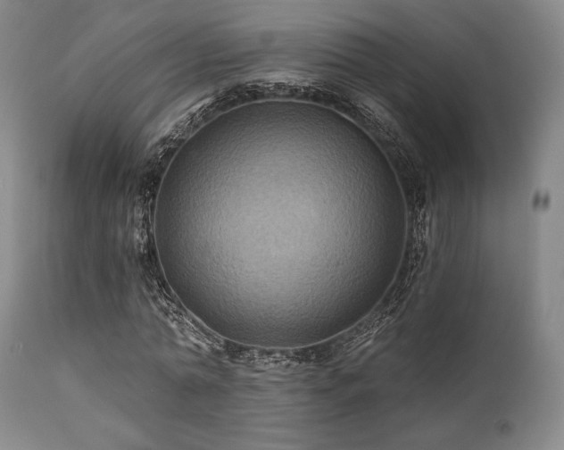 X0000112030774200908031435