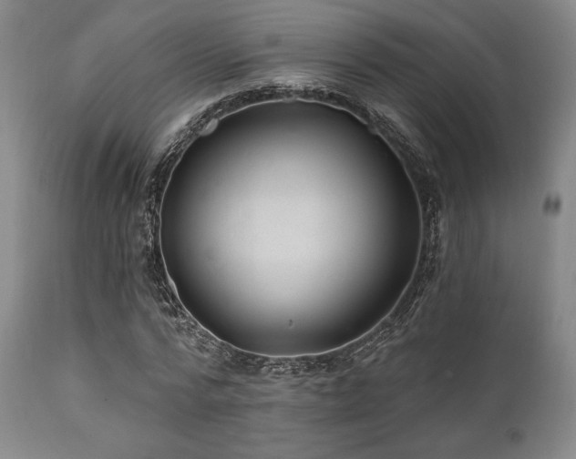X0000112030776200908031435