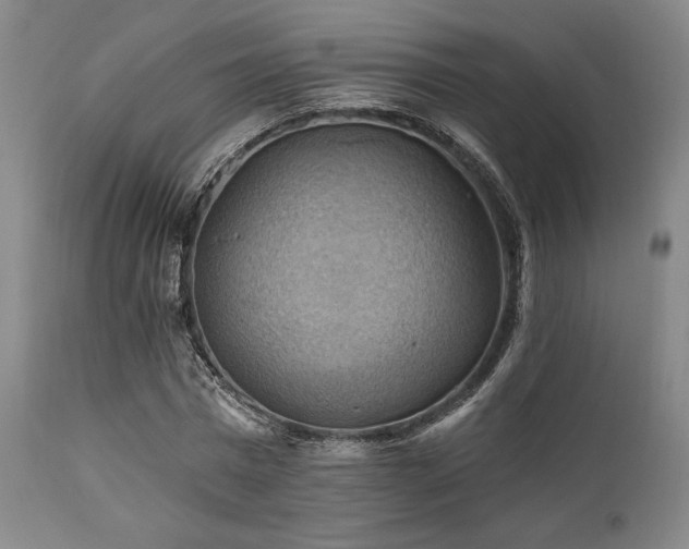 X0000112030777200908031435