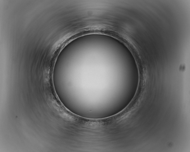 X0000112030778200908031435
