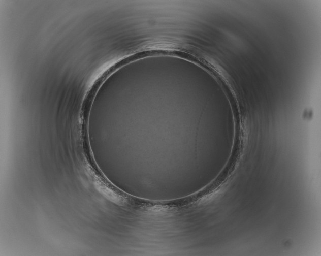 X0000112030779200908031435