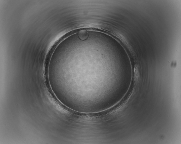 X0000112030780200908031435