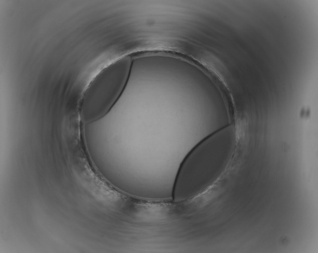 X0000112030781200908031435