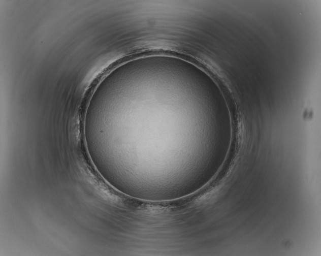 X0000112030782200908031435