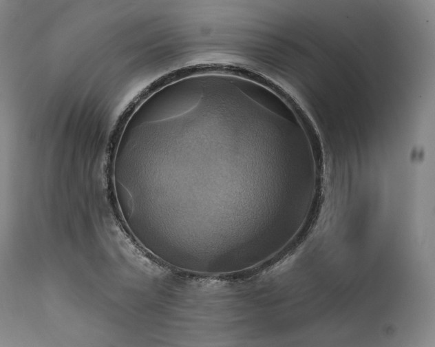 X0000112030783200908031435
