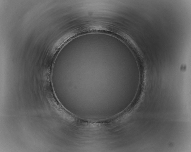 X0000112030785200908031435
