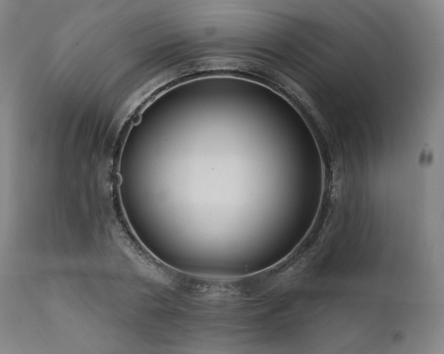 X0000112030786200908031435