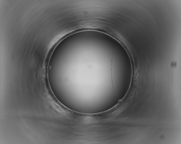 X0000112030787200908031435