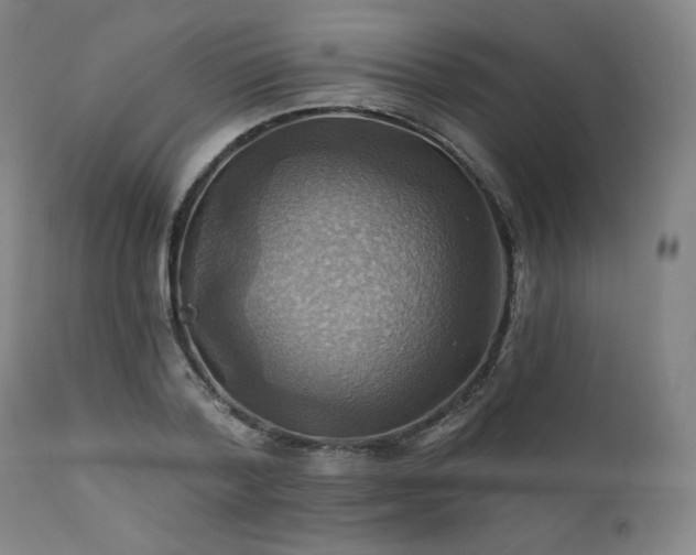 X0000112030788200908031435