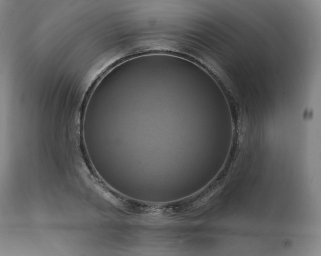 X0000112030790200908031435