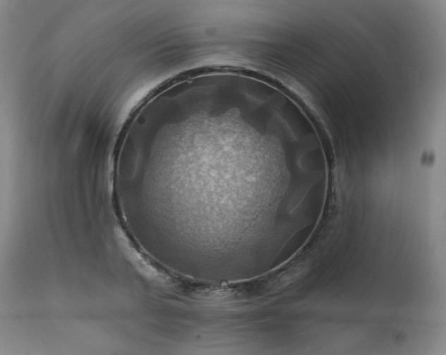 X0000112030791200908031435