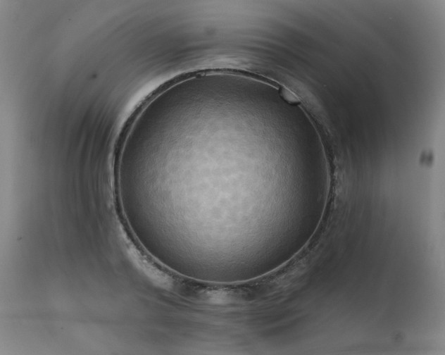 X0000112030792200908031435