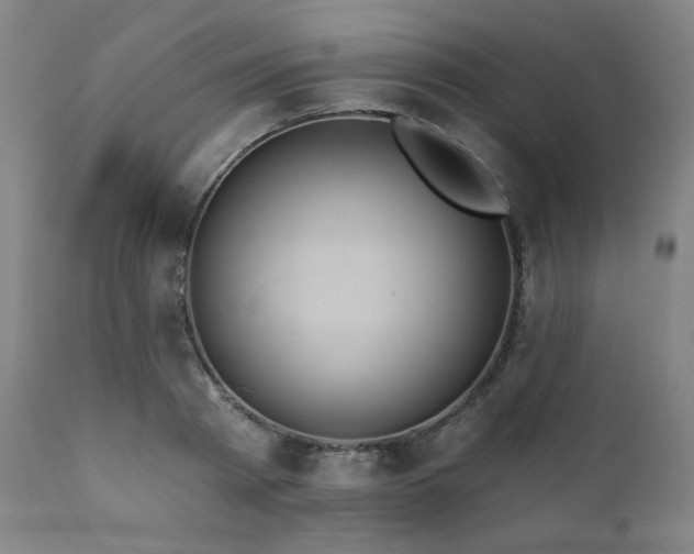 X0000112030793200908031435
