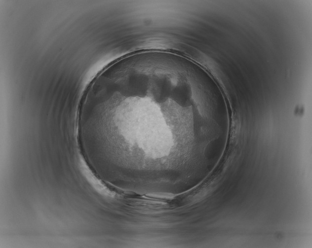 X0000112030795200908031435