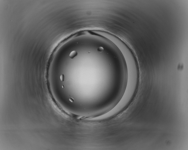 X0000112030797200908031434