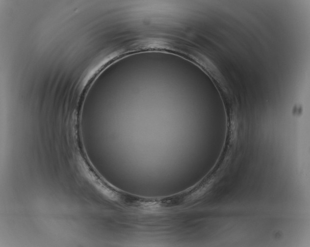X0000112030798200908031434