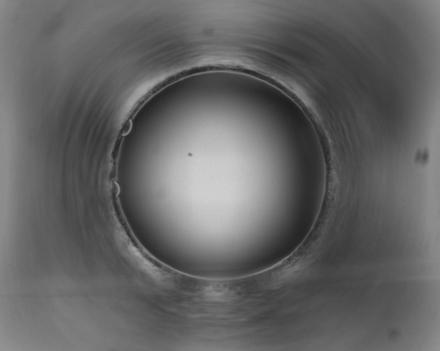 X0000112030799200908031434