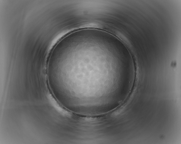 X0000112030800200908031434
