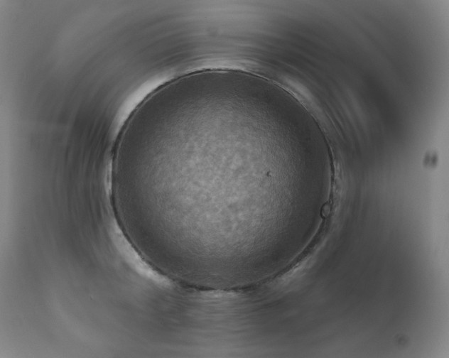X0000112030804200908031434