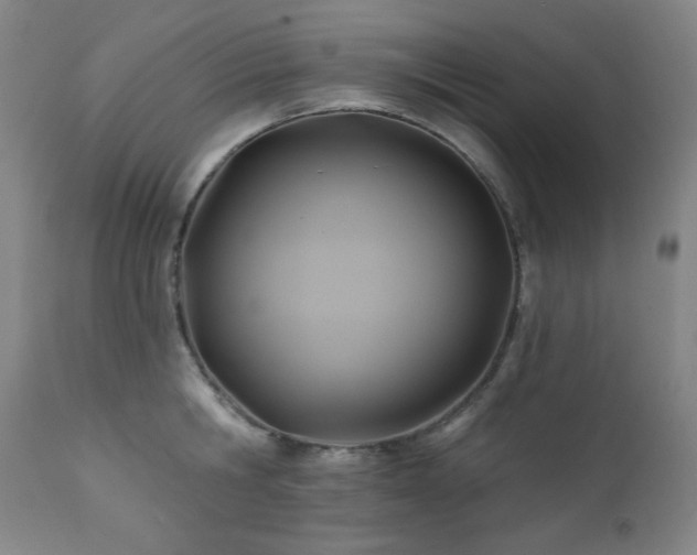 X0000112030806200908031434