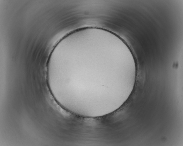 X0000112030807200908031434