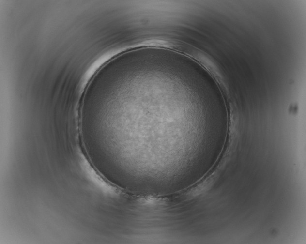X0000112030808200908031434