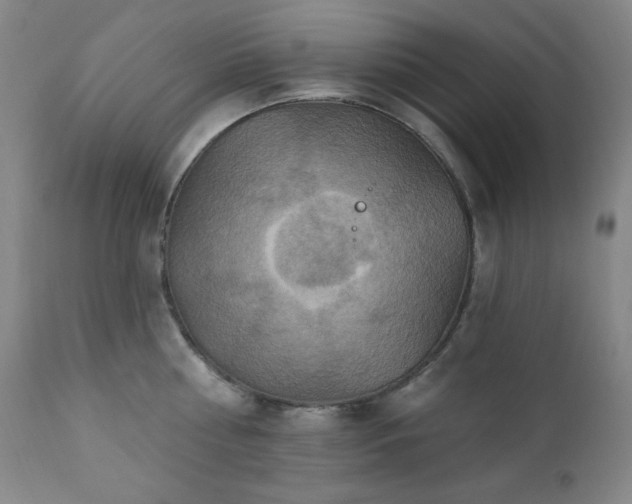 X0000112030810200908031434