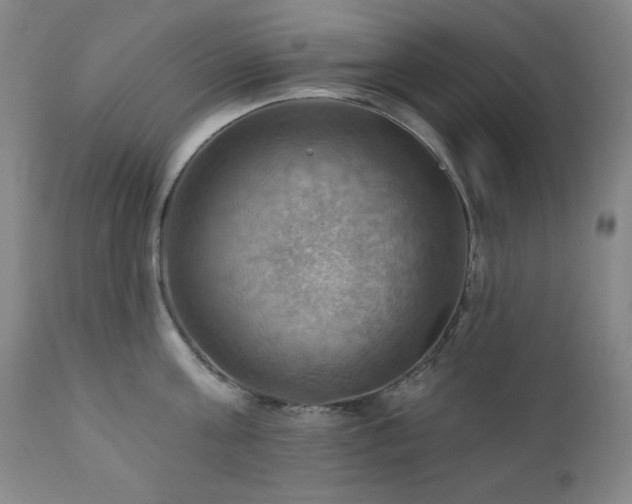 X0000112030811200908031434