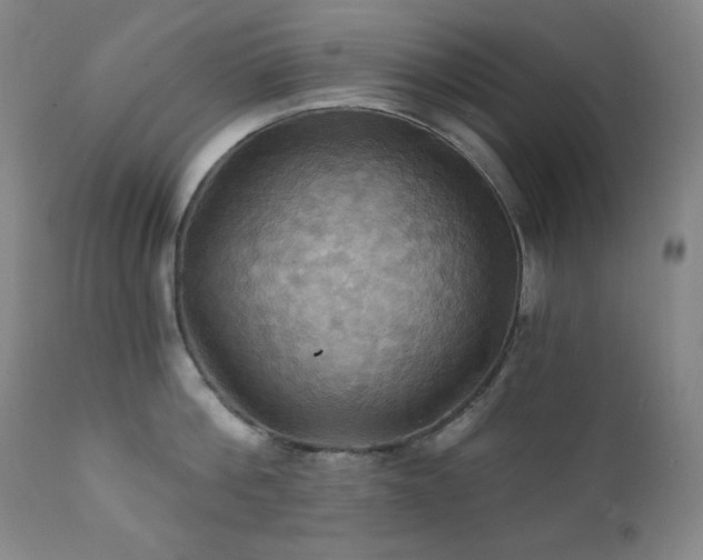 X0000112030812200908031434