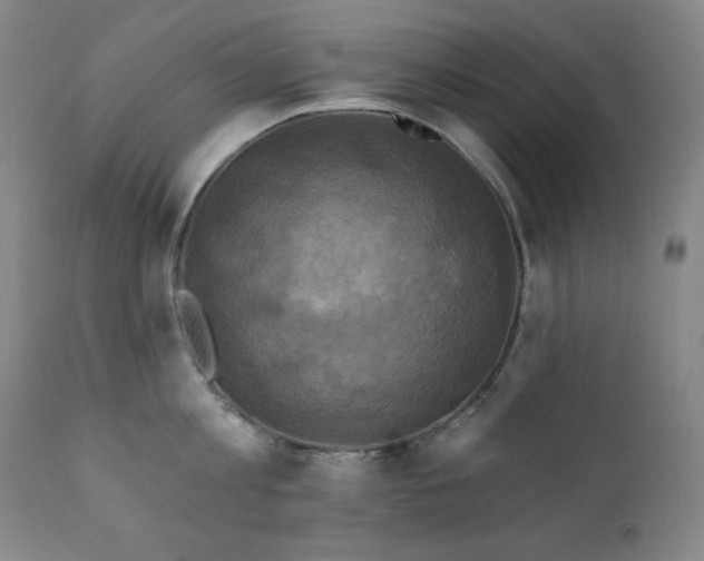 X0000112030813200908031434