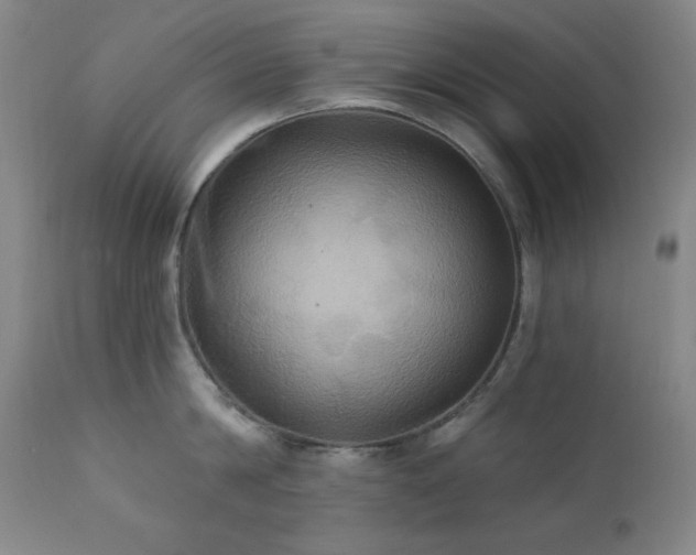 X0000112030814200908031434