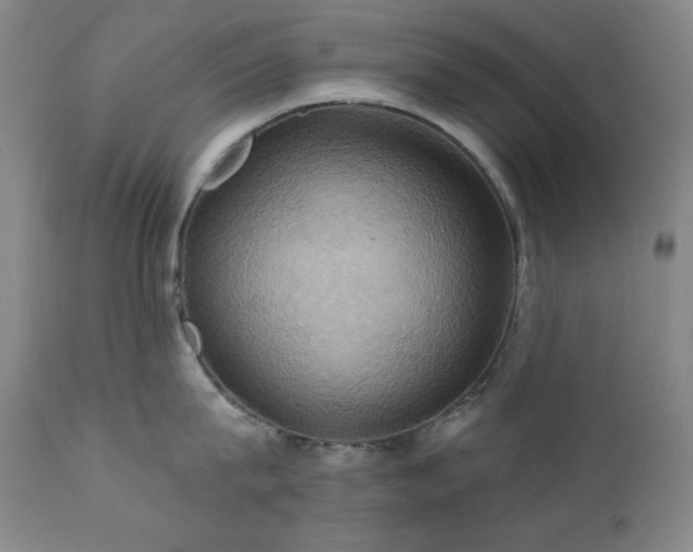 X0000112030815200908031434