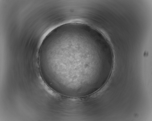 X0000112030816200908031434