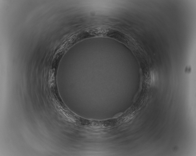 X0000112030818200908031434