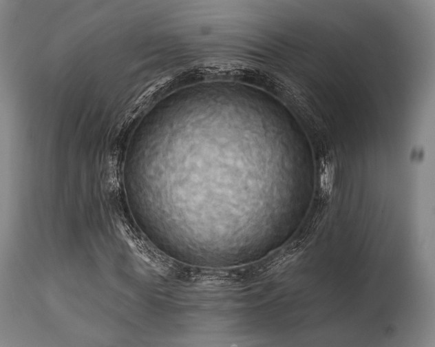 X0000112030819200908031434