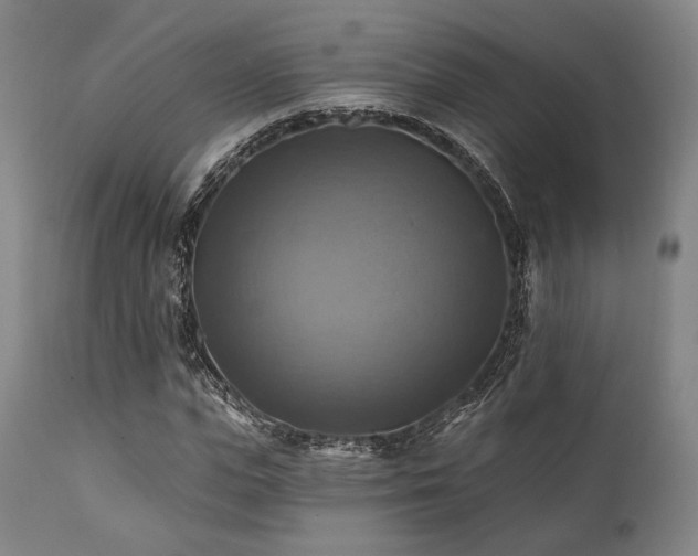 X0000112030823200908031434