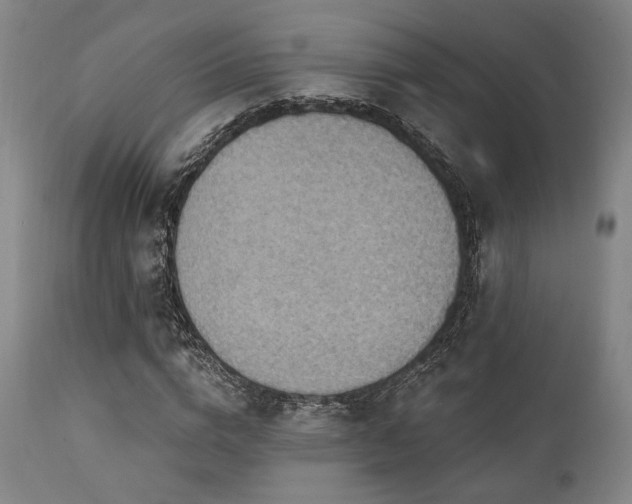 X0000112030824200908031434
