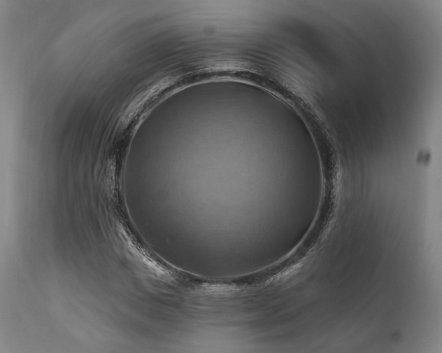 X0000112030825200908031434