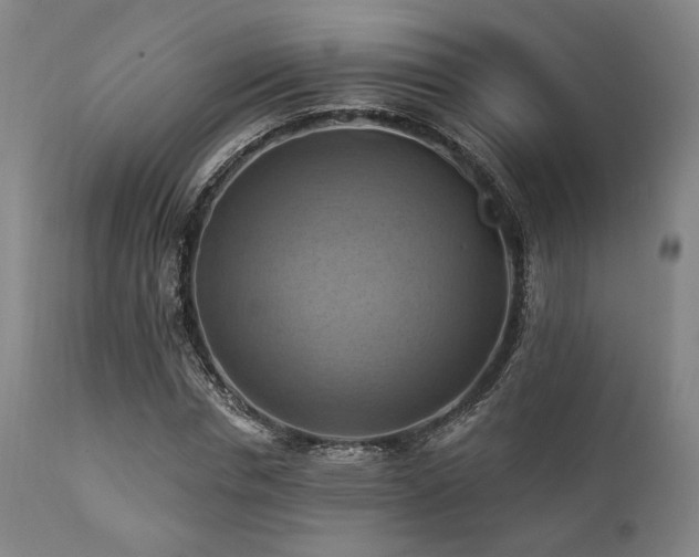 X0000112030826200908031434