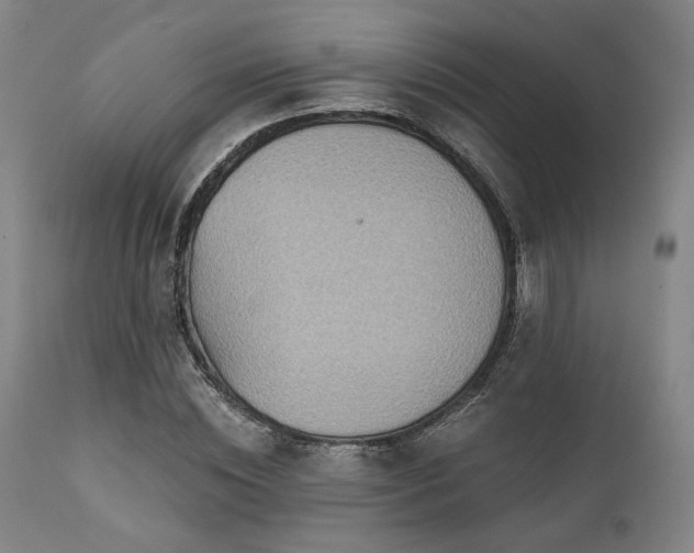 X0000112030828200908031434