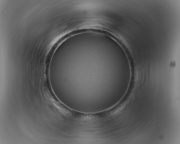 X0000112030830200908031434